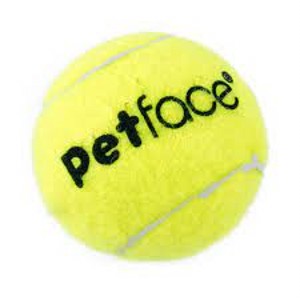 Petface Squeaky Tennis Ball
